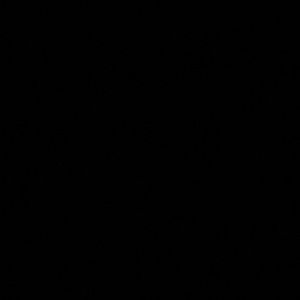 Meet your Posher, Connor